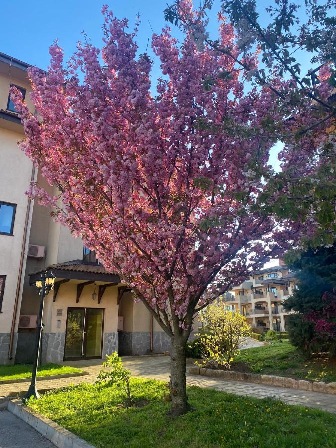 59 Kaliakria Seaview Luxury Apartment Topola Zewnętrze zdjęcie