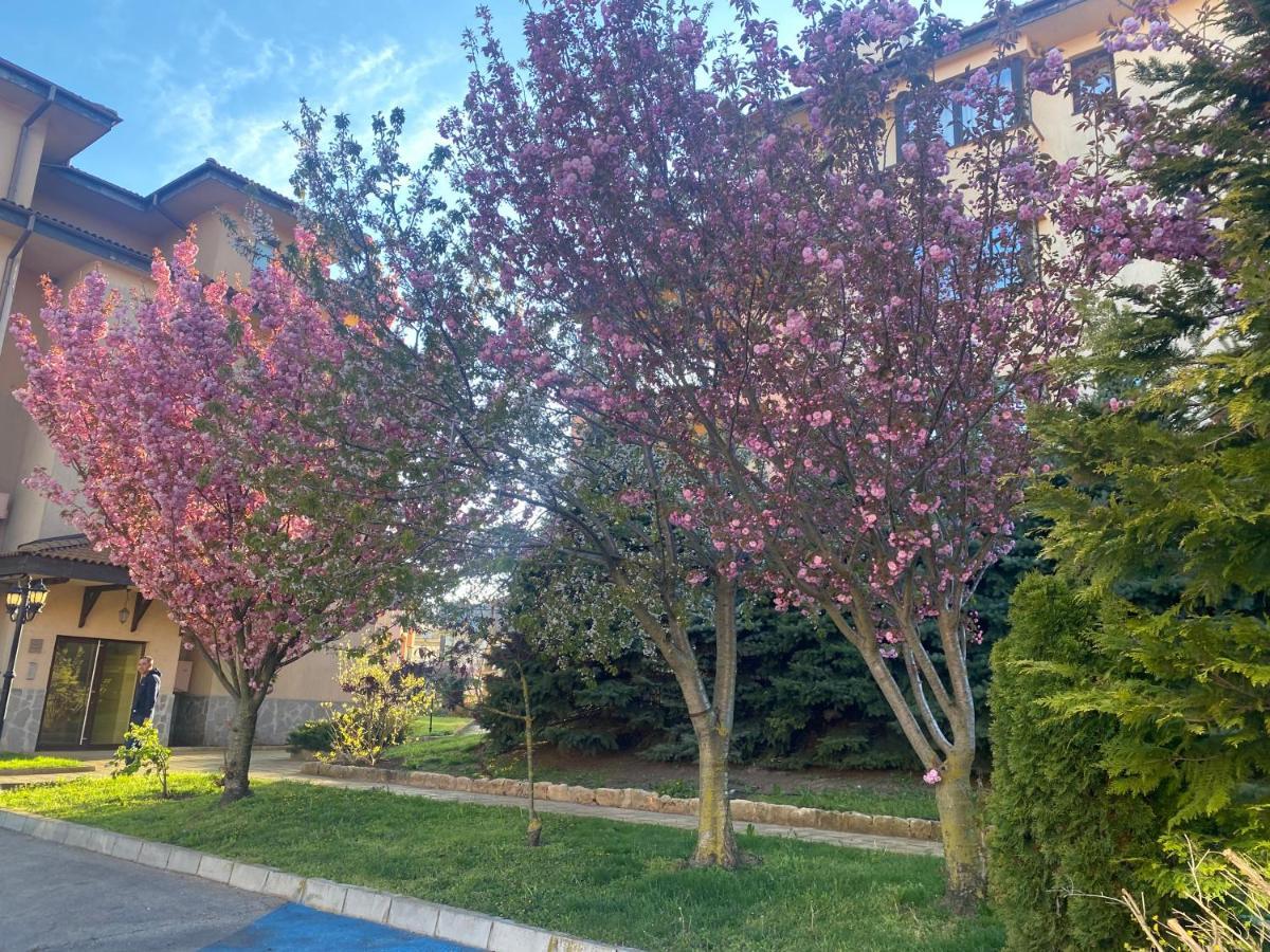 59 Kaliakria Seaview Luxury Apartment Topola Zewnętrze zdjęcie